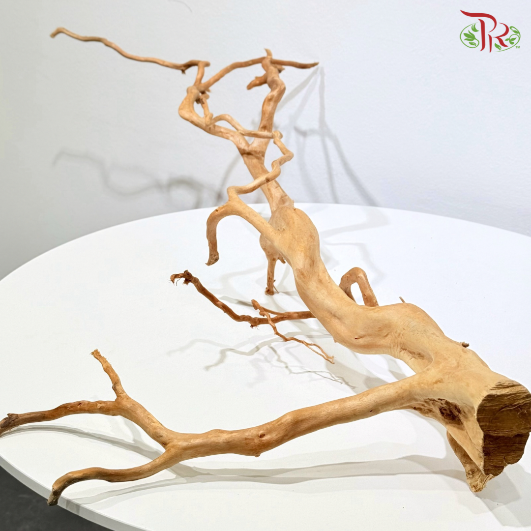 FINE STRIP DUJUANGEN ROOT《精品条形杜鹃根》1KG