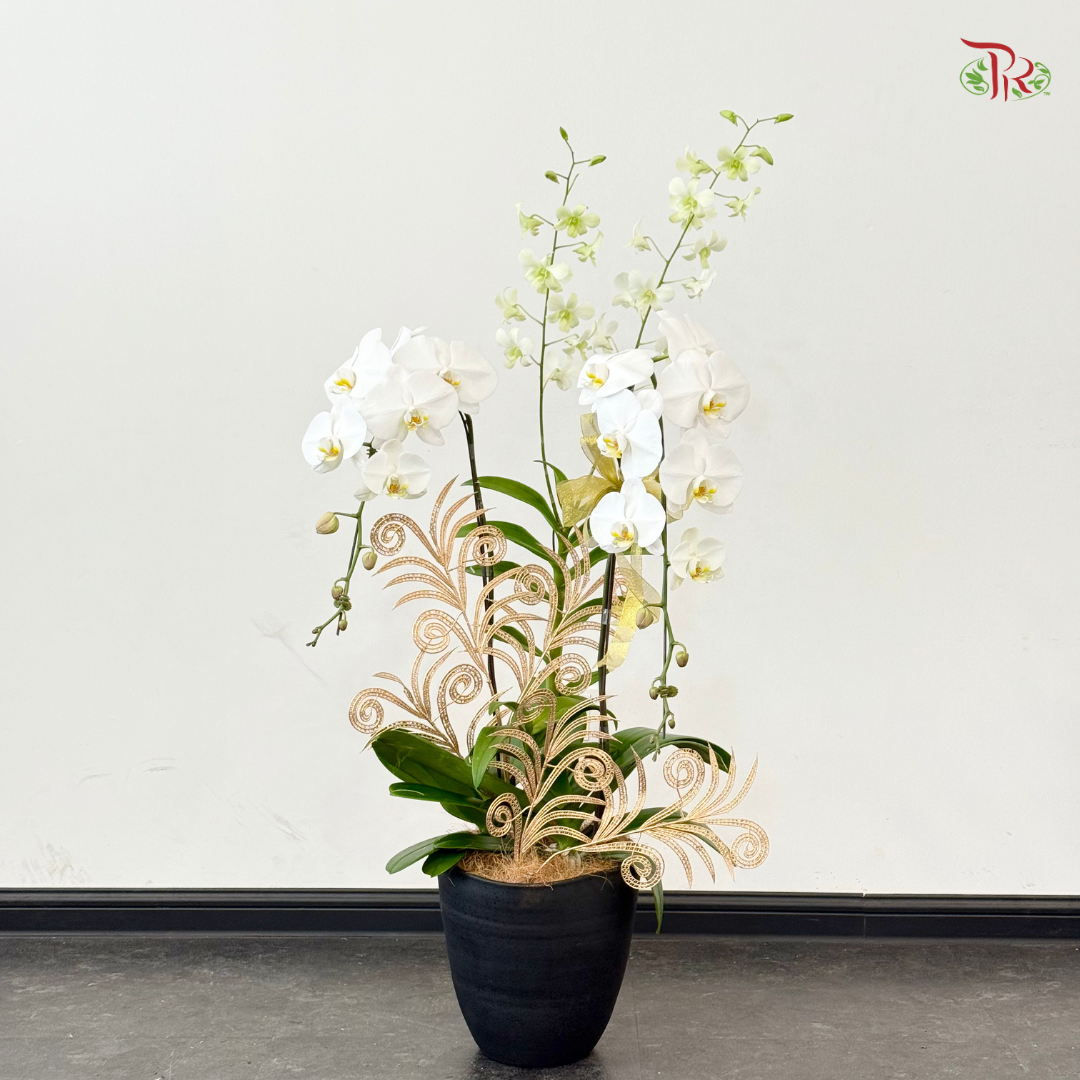 【XMAS 2025】Holiday Bloom 圣诞花语