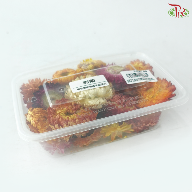 Random Colour Dried Chrysanthemum (Per Box)