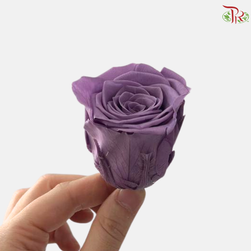 8 Blooms Preserved Roses - Morandi Purple