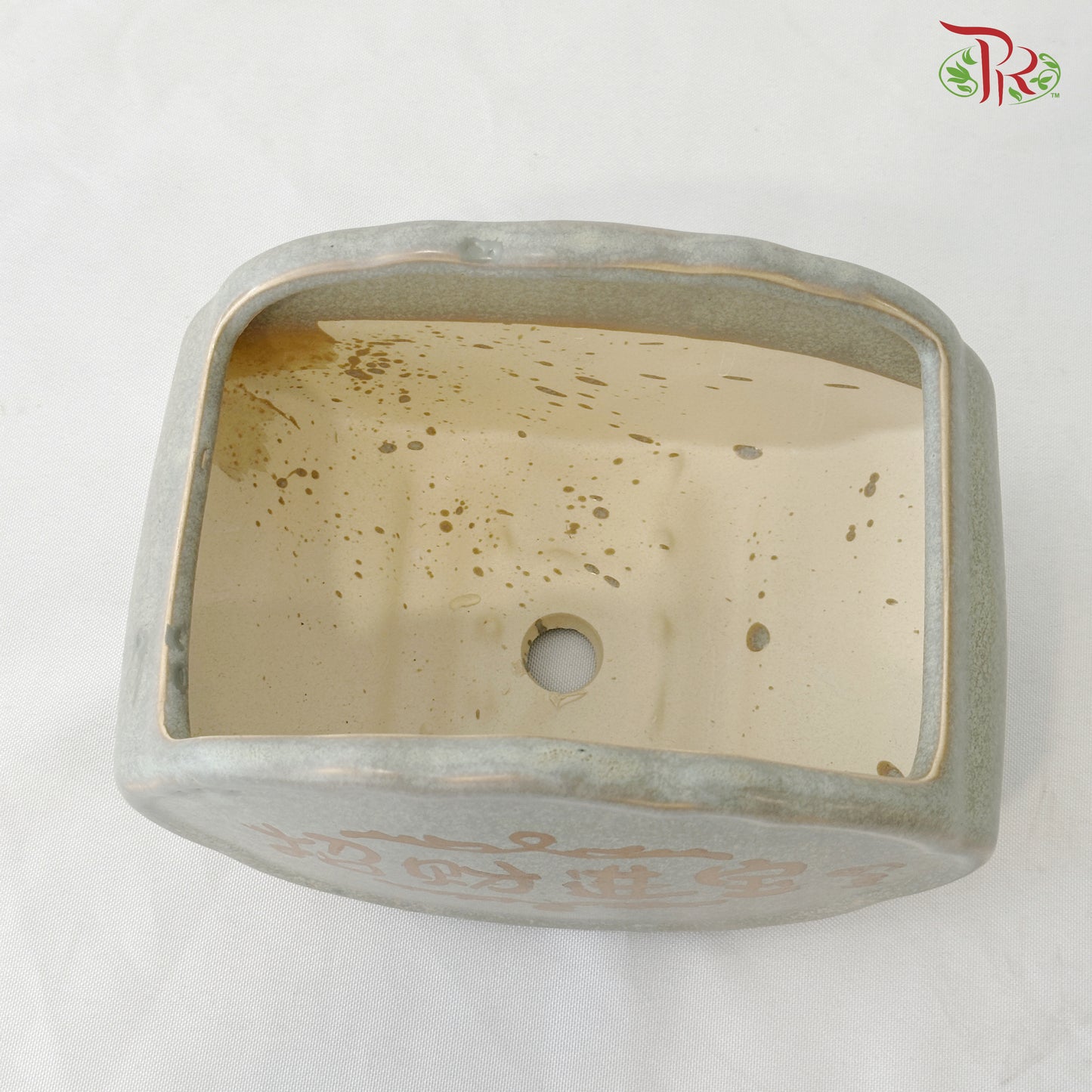 AD-2006 - Pot (With Color Option)