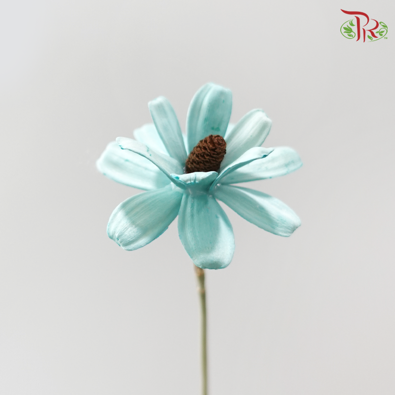 Dried Sunflower-seeds Flower - Blue