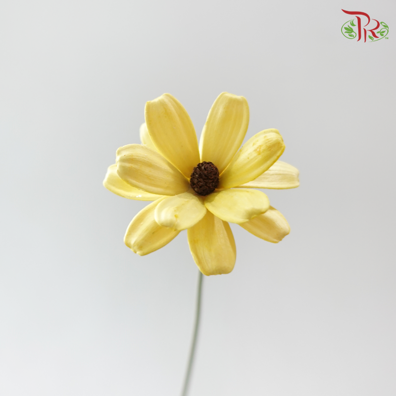 Dried Sunflower-seeds Flower - Yellow