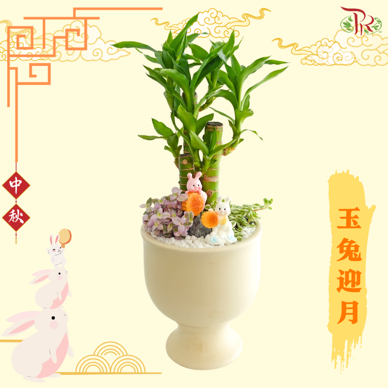 【Gift Series】Jade Rabbit Moonlit《玉兔迎月》(Random Choose Gardening Miniature)