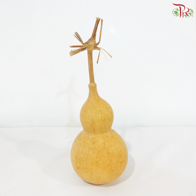 Auspicious Dragon-Head Gourd Hulu《葫芦》(Per Unit)