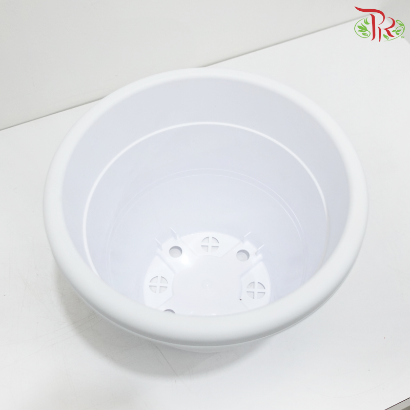 BI-EG-260 - Pot (With Color Option)