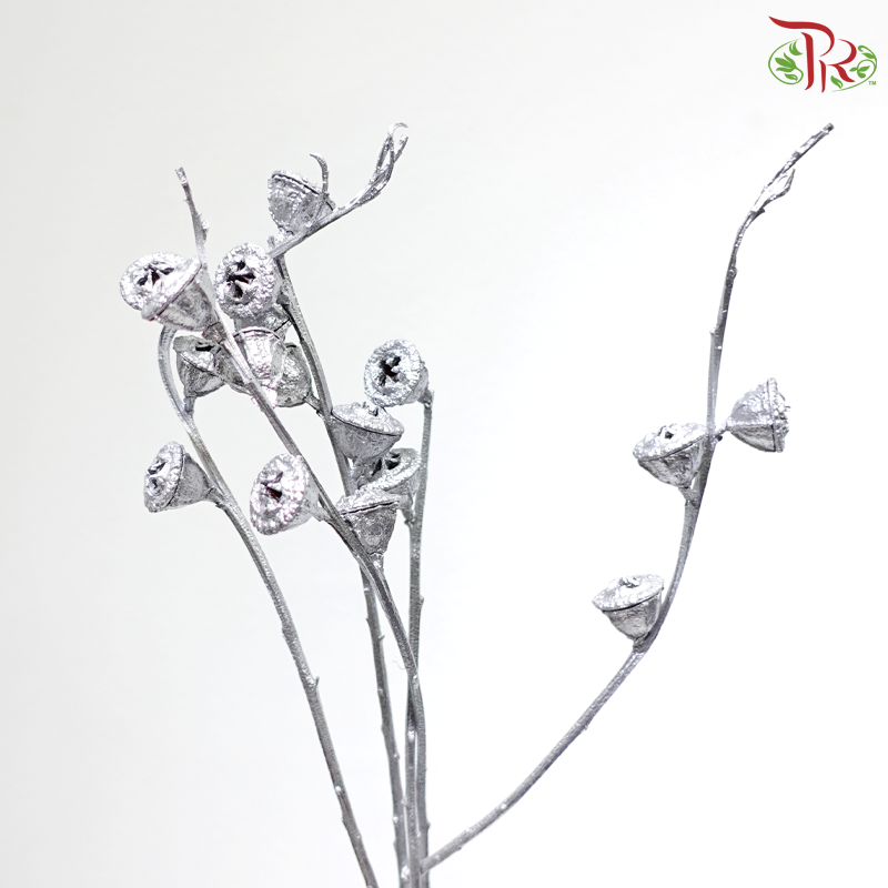 Dry Eucalyptus Nut - Dyed Silver (Per Bunch)