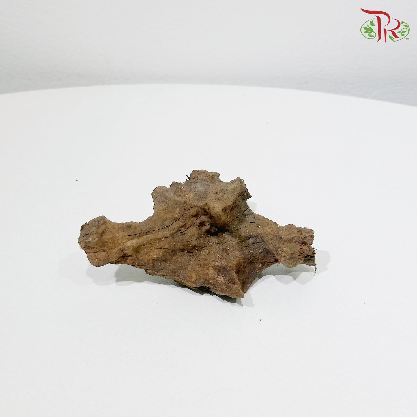 Honeycomb Wood《蜂窝木》S Size - 1KG