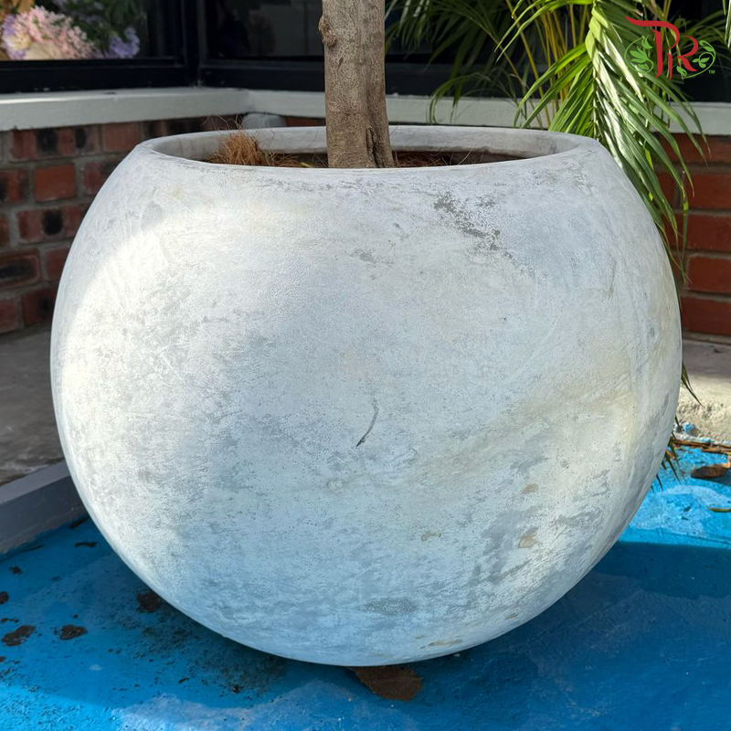 L05 Cement Pot - Non Colour