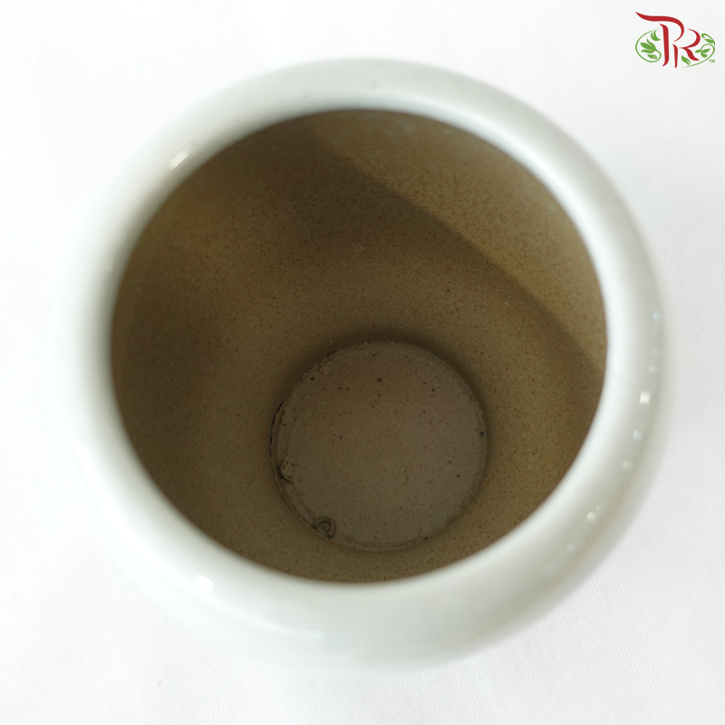 HY-Z06A - Vase (With Color Options)