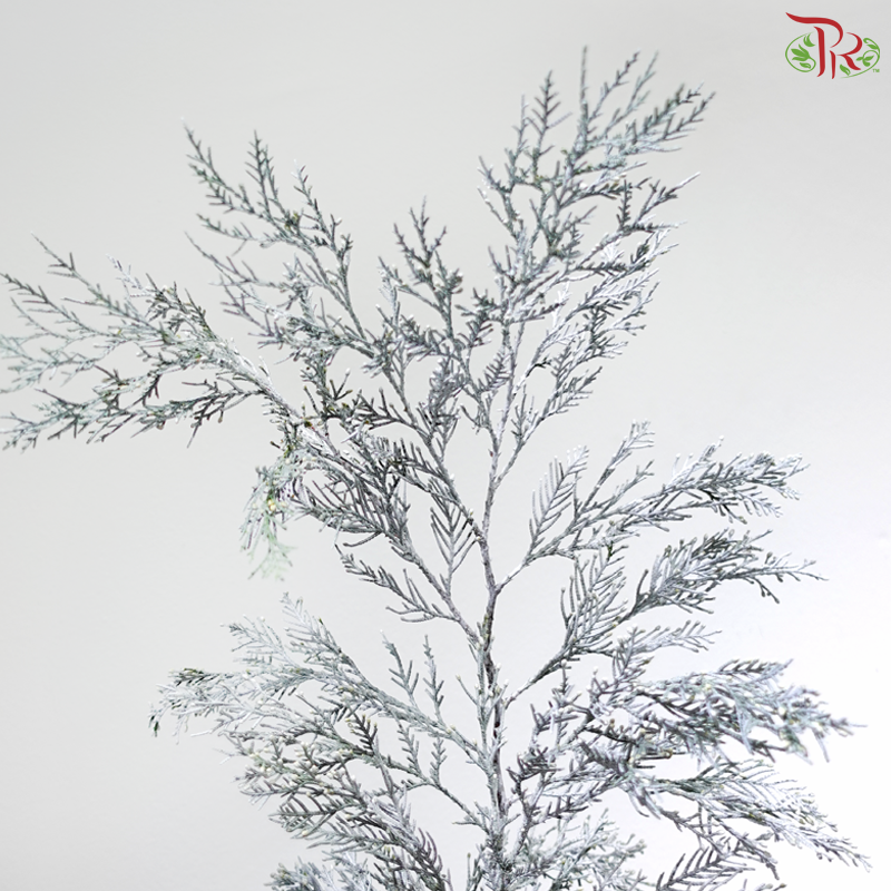 Hinoki Silver Lining (Per Bunch)