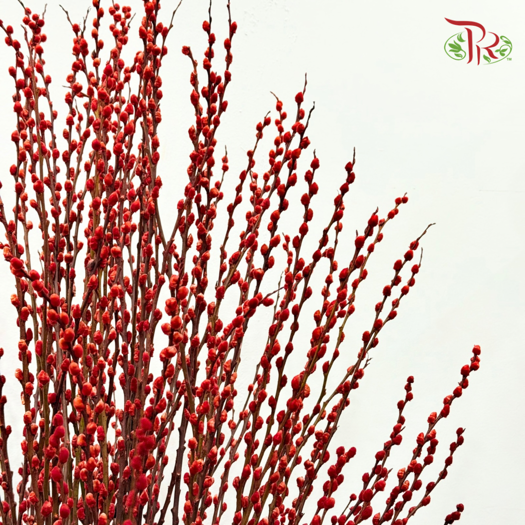 【CNY 2026】Red Fortune Statement Vase (XL size) 《红运镇堂》