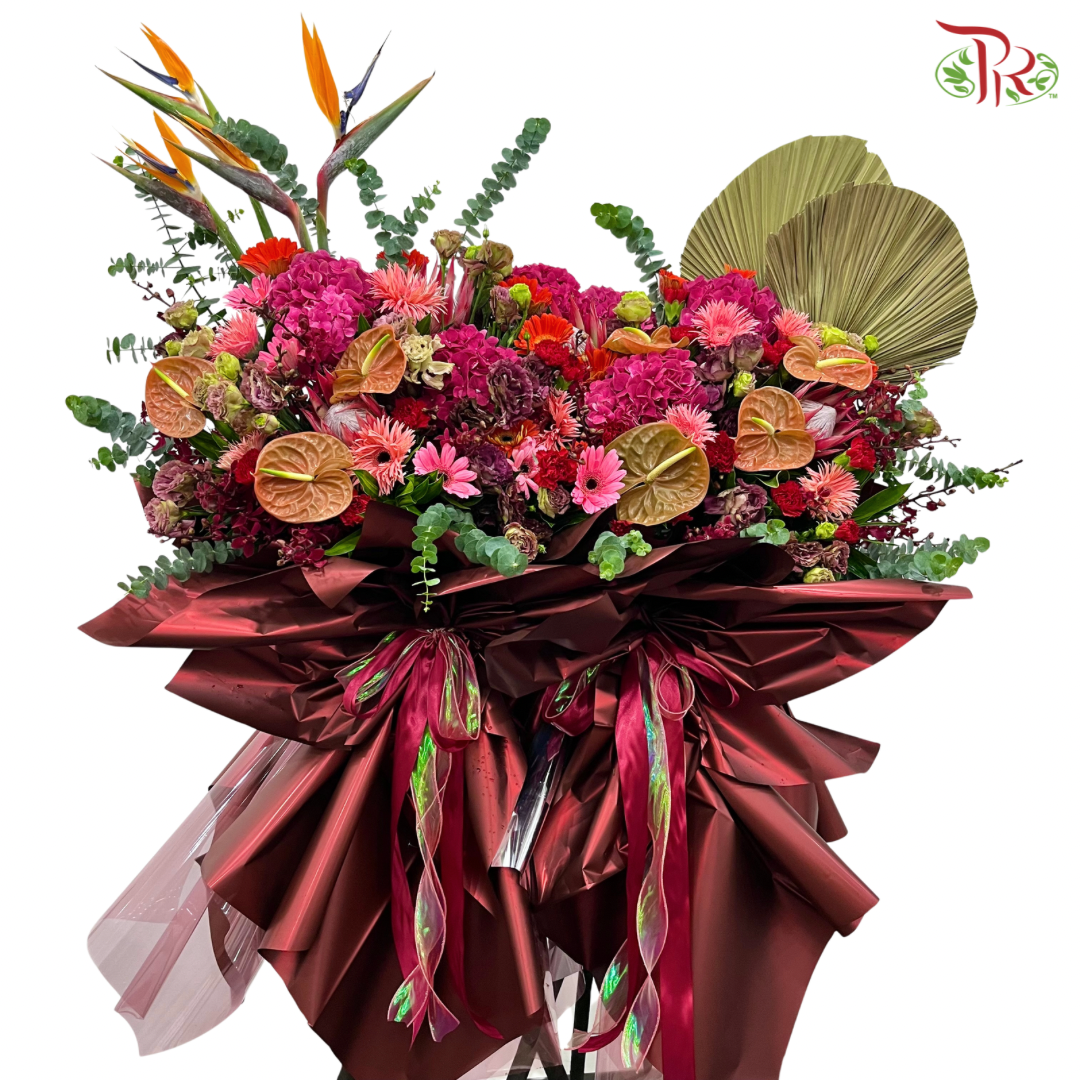 Opening Stand - Majestic Bloom