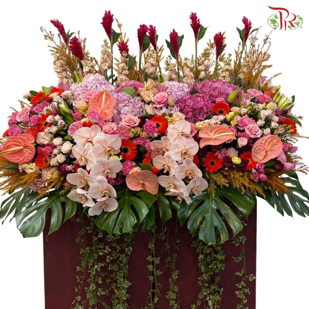 Grand Opening Stand - Royal Prosperity