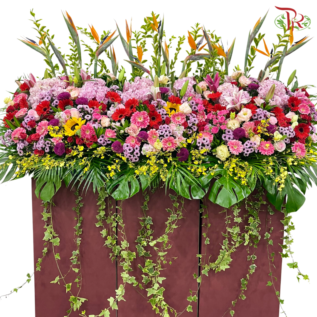 Deluxe Opening Stand - Prestige in Bloom