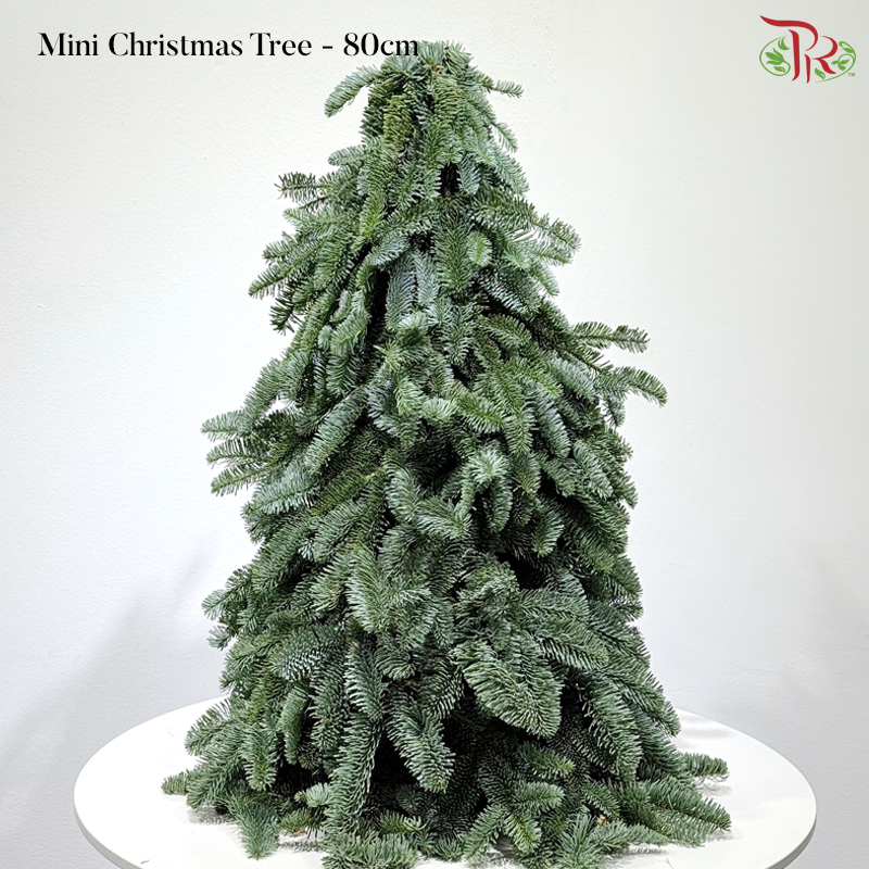 【XMAS 2025】Decorated Mini Christmas Tree (With Size & Design Options)(Pre-Order 2 Days in Advance)