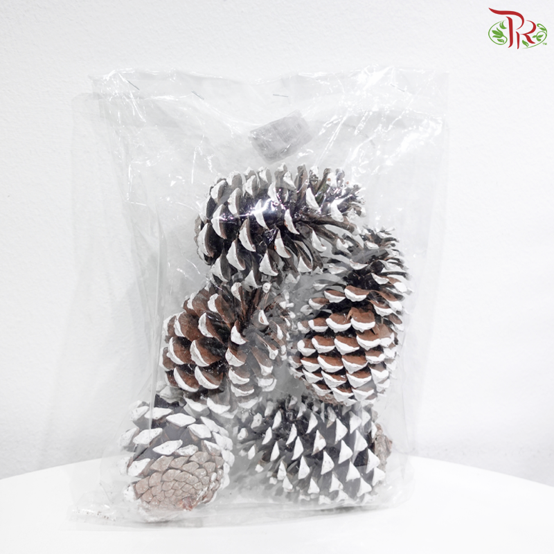 Pine Cone S (6-9cm) - White (5 PCS)