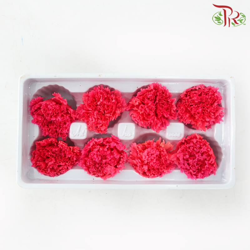 8 Blooms Preserved Carnation - Fire Pink