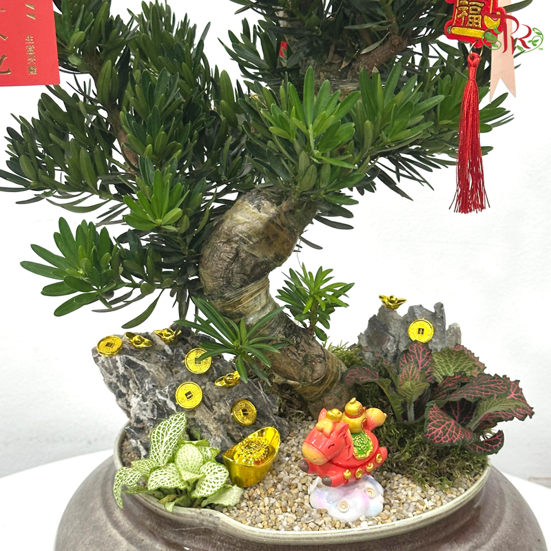 【CNY 2026】Fortress Podocarpus Arrangement《镇宅罗汉松》