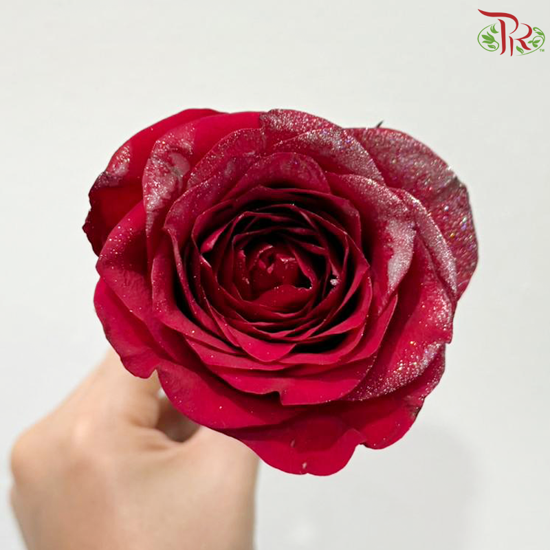 SB Spray - Glitter Silver (860)