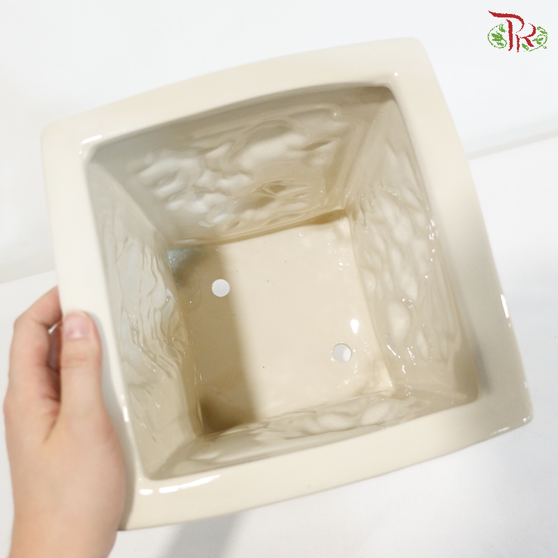 TY-D22003 Cream White Pot