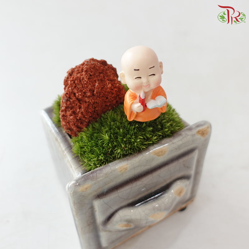 【Teacher‘s Day】Thanks a Moss Lot!(With Pot Colour Options)