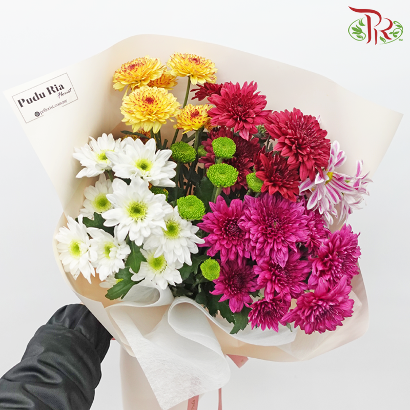 Assorted Chrysanthemum Pom Pom Hand Bouquet (Per Bunch) M size-Pudu Ria Florist-prflorist.com.my