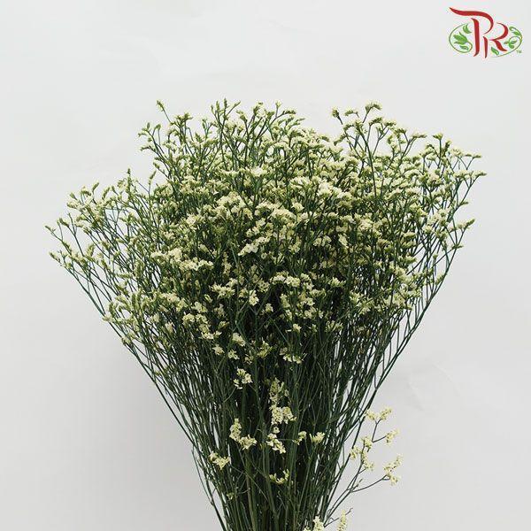 Caspia - Yellow (Per Bunch)-Yellow-China-prflorist.com.my