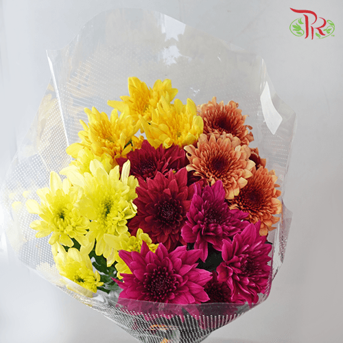 Chrysanthemum Pompom - Random Mix (7 Stems)-Malaysia-prflorist.com.my