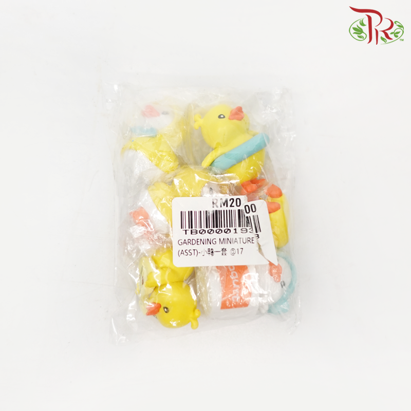 Gardening Miniature - Yellow Ducks《小黄鸭》-Pudu Ria Florist-prflorist.com.my