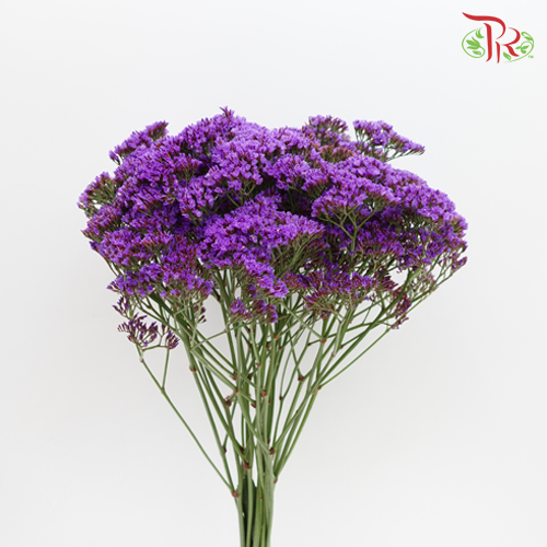 Limonium Misty - (Per Bunch)-Purple-China-prflorist.com.my