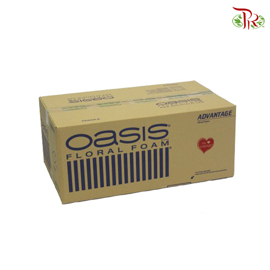 Oasis Advantage Floral Foam 1 Box (20 Pcs)-Oasis-prflorist.com.my