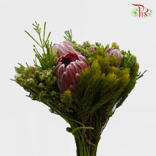 Safari Premium Bouquet - 1 (Per Bunch) **Random Cone/Fillers-Pink-Africa-prflorist.com.my