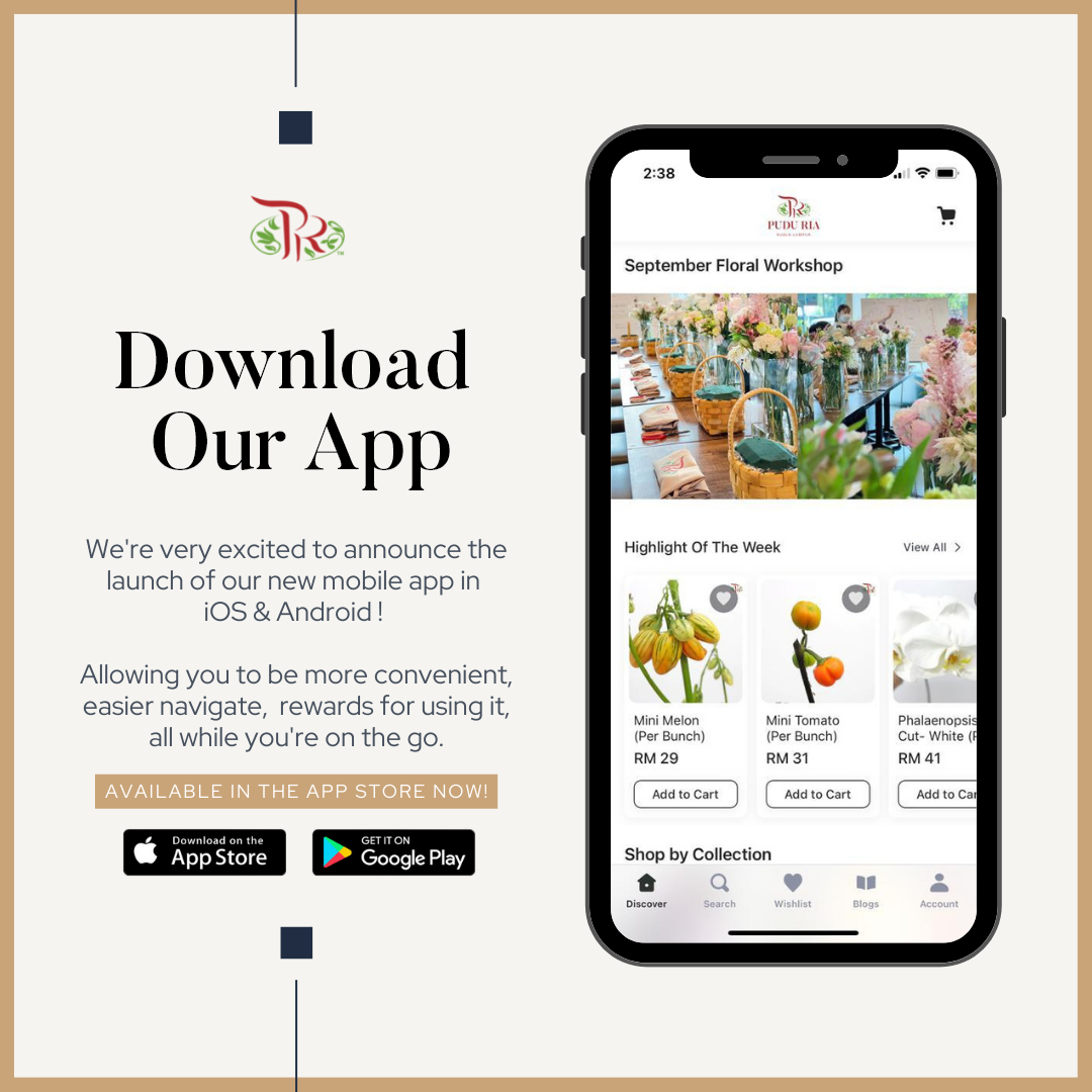 Download our app