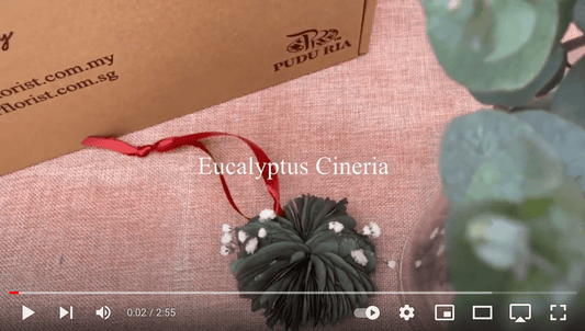 Craft idea for Eucalyptus Leaf - Pudu Ria Florist
