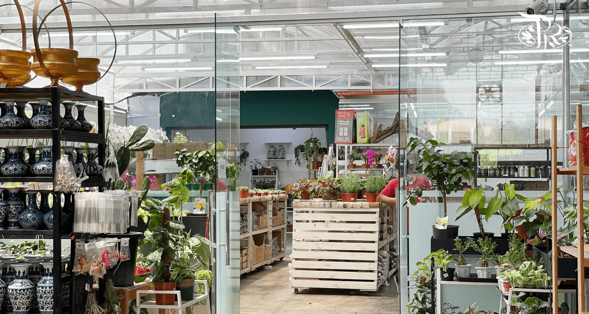 One- Stop-Service For Plants Lovers in Kuala Lumpur - Pudu Ria Florist