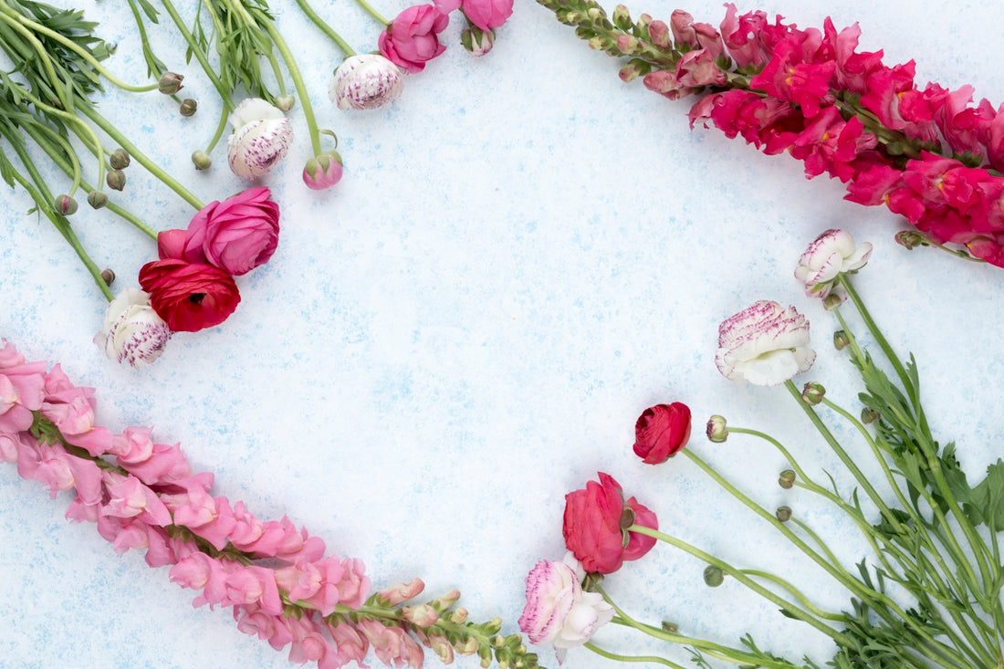 assorted-color flowers layed on white concrete surface