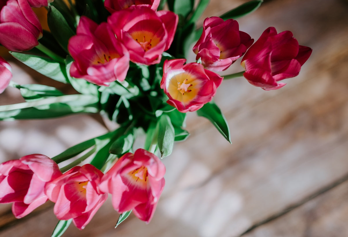 Enhancing Your Home with Calathea Rotundifolia Fasciata P150: A Guide to Using Fresh Cut Flowers and Foliage in Plant Arrangements