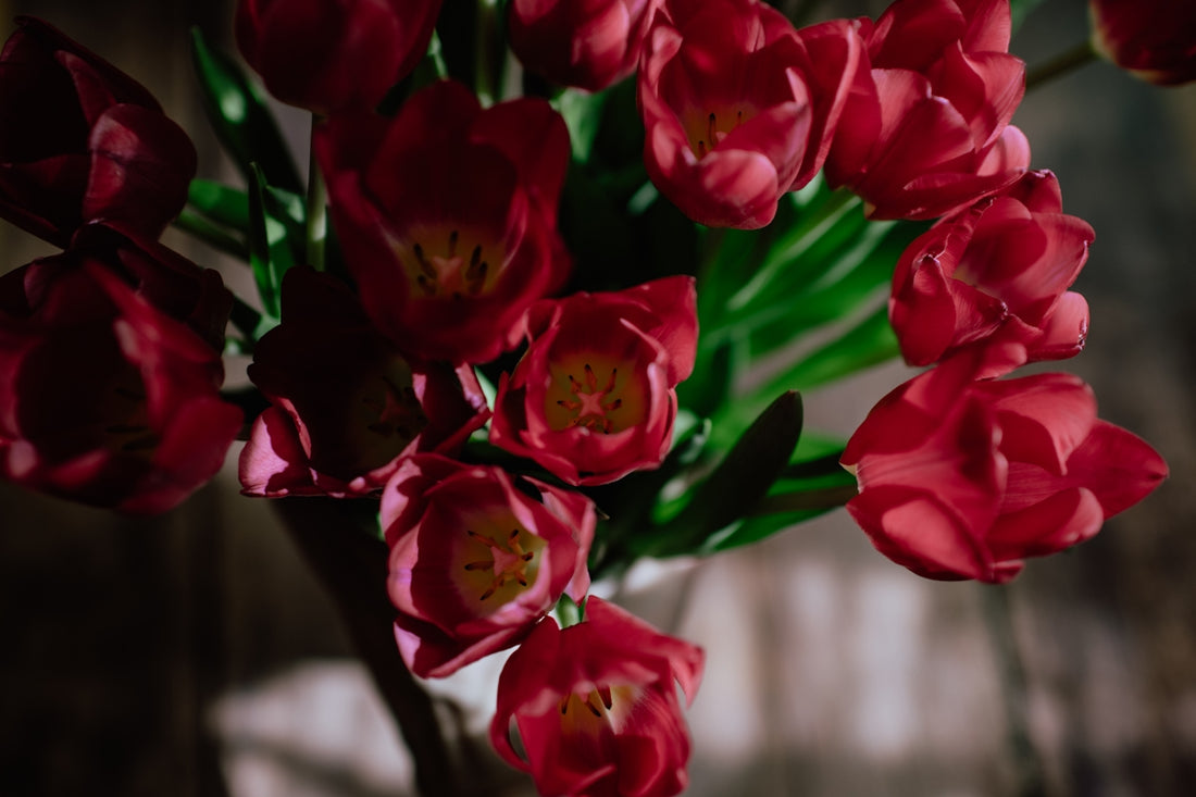 red flowers in tilt shift lens