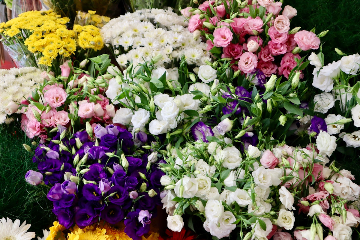 a group of flowers