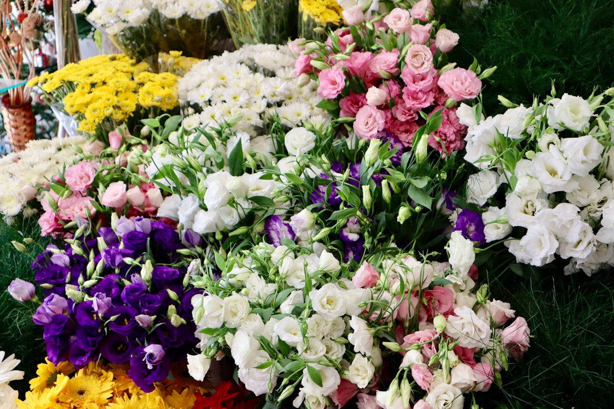 a group of flowers