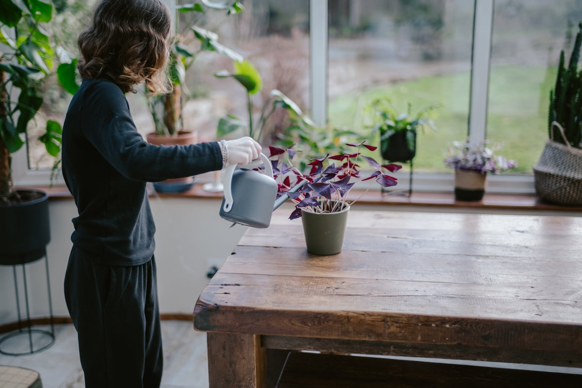 a woman watering a potted plant in a greenhouse