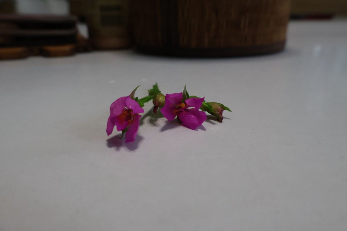 a couple of pink flowers sitting on top of a white table