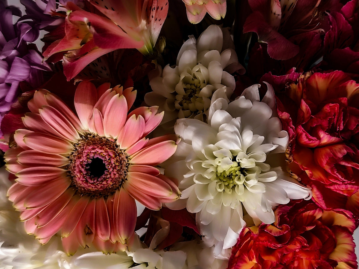 a close up of a bunch of flowers