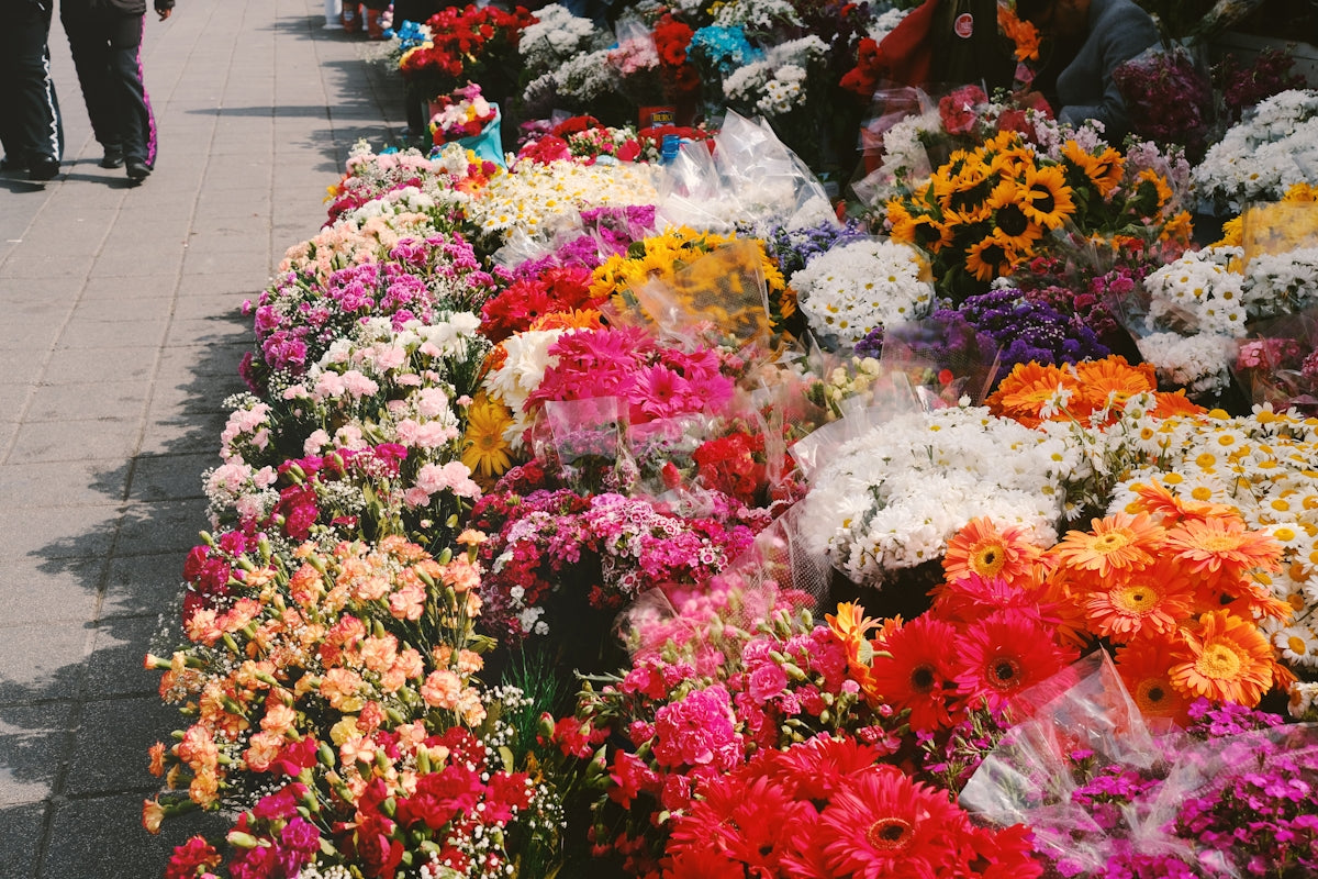 a bunch of flowers that are on a sidewalk
