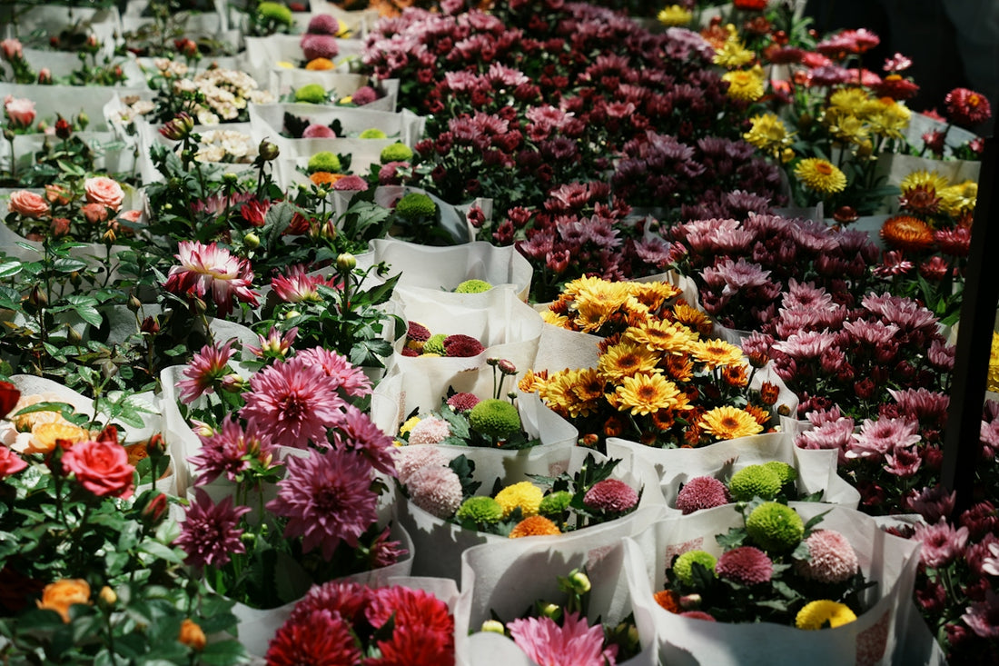 A bunch of flowers that are in a bunch