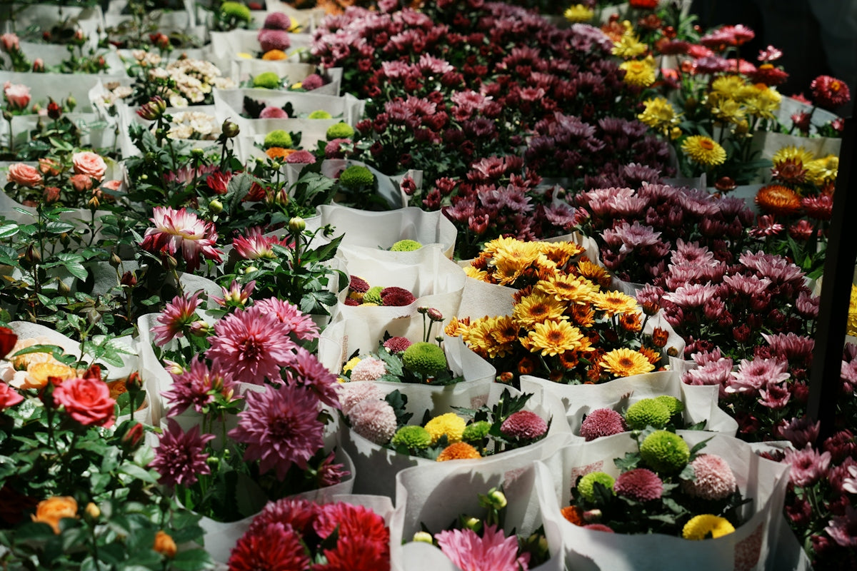 A bunch of flowers that are in a bunch