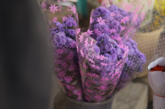 Bouquets of small purple flowers wrapped in plastic