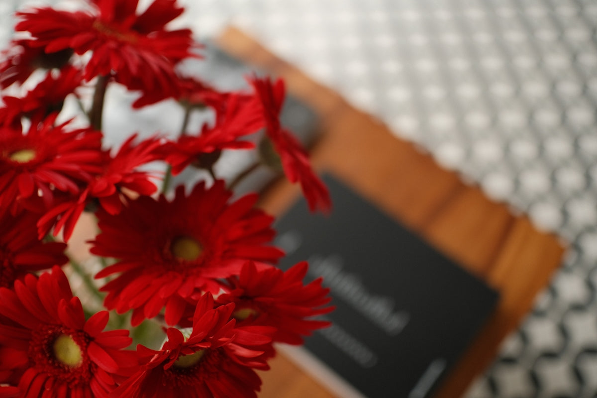 Red gerbera daisies with a blurred background.