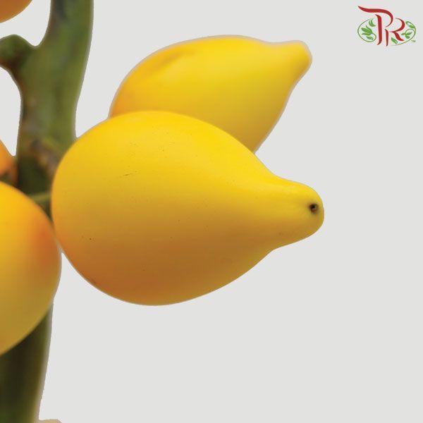 Solanum - Pudu Ria Florist